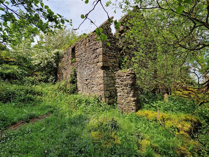 Kilgarriff, Ballyhaunis, Co. Mayo