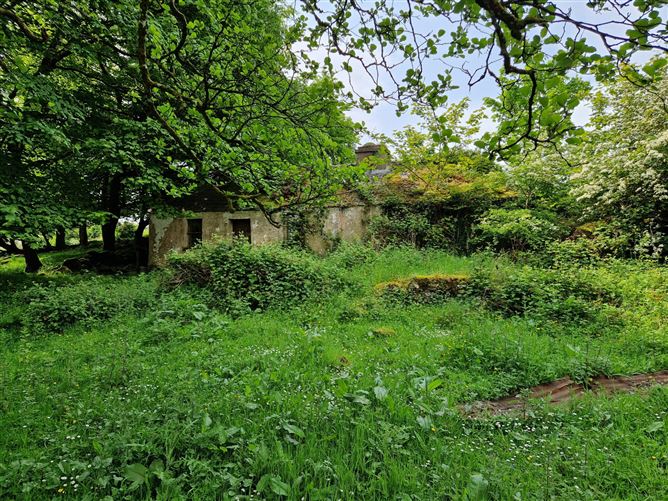 Kilgarriff, Ballyhaunis, Co. Mayo
