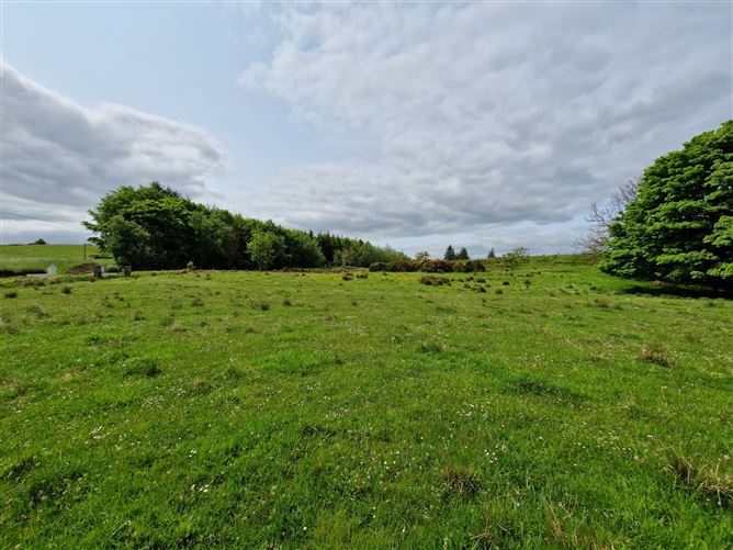 Kilgarriff, Ballyhaunis, Co. Mayo