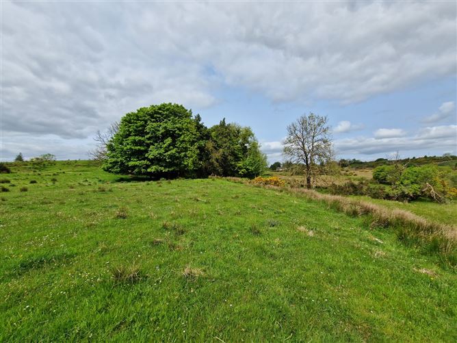 Kilgarriff, Ballyhaunis, Co. Mayo
