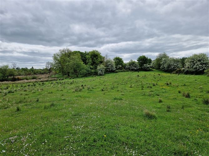 Kilgarriff, Ballyhaunis, Co. Mayo