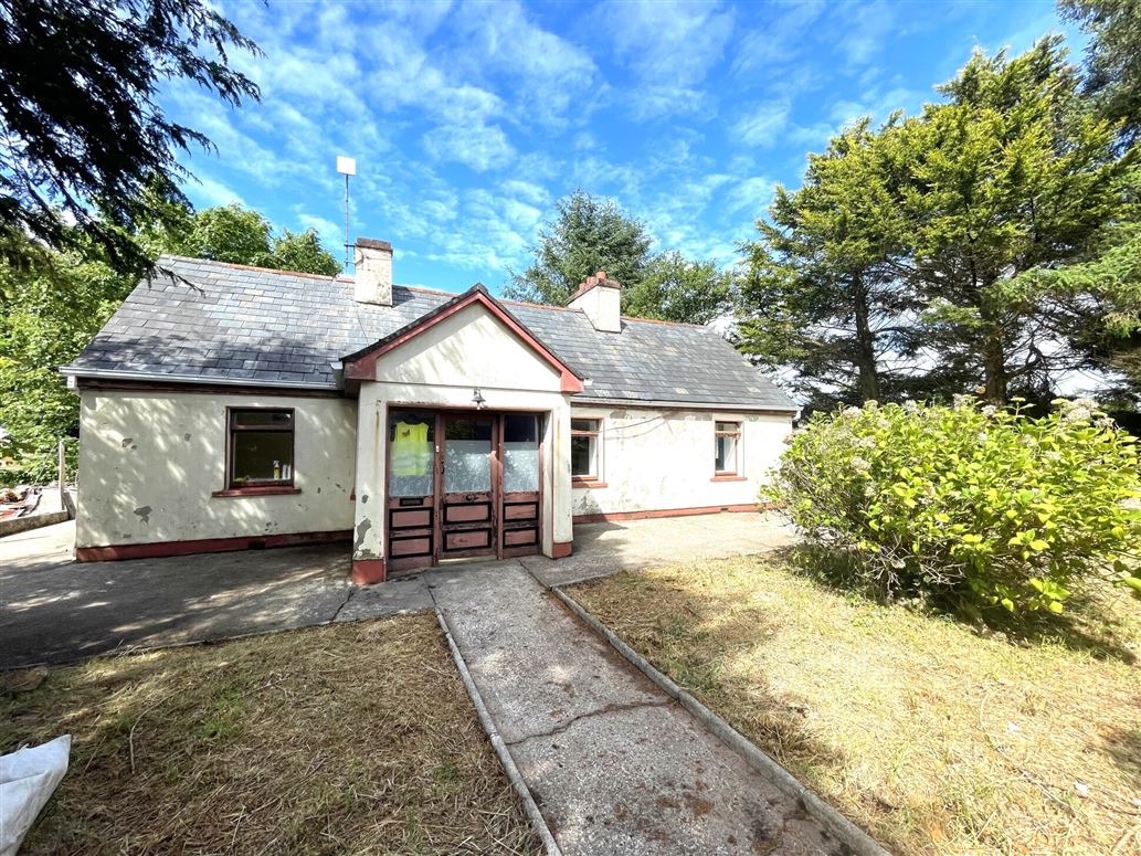Roe, Kilmeena, Westport, Co. Mayo