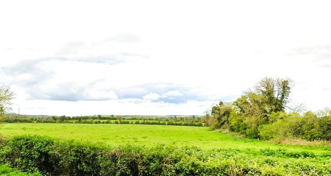 Lands Knowth, Slane, Co. Meath