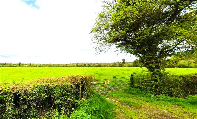 Lands Knowth, Slane, Co. Meath