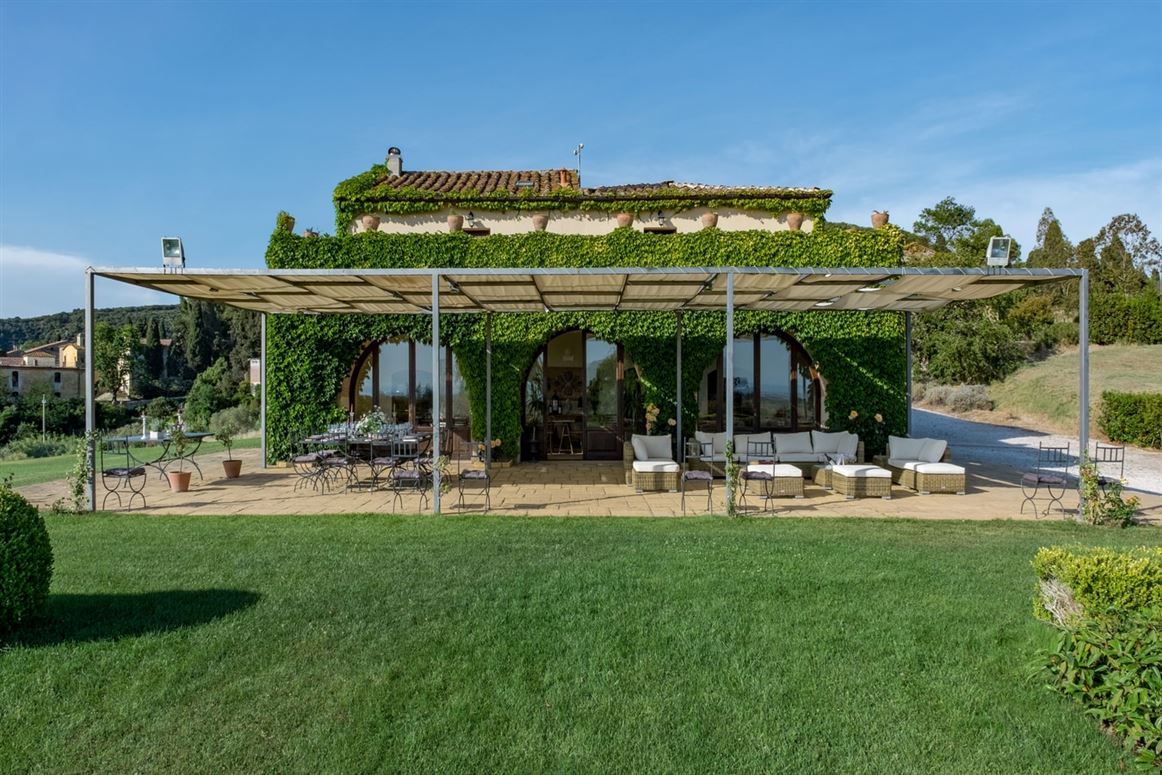 Vine Time,Castellina Marittima,Tuscany,Italy