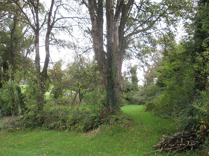 Creevy, Carrickmacross, Monaghan