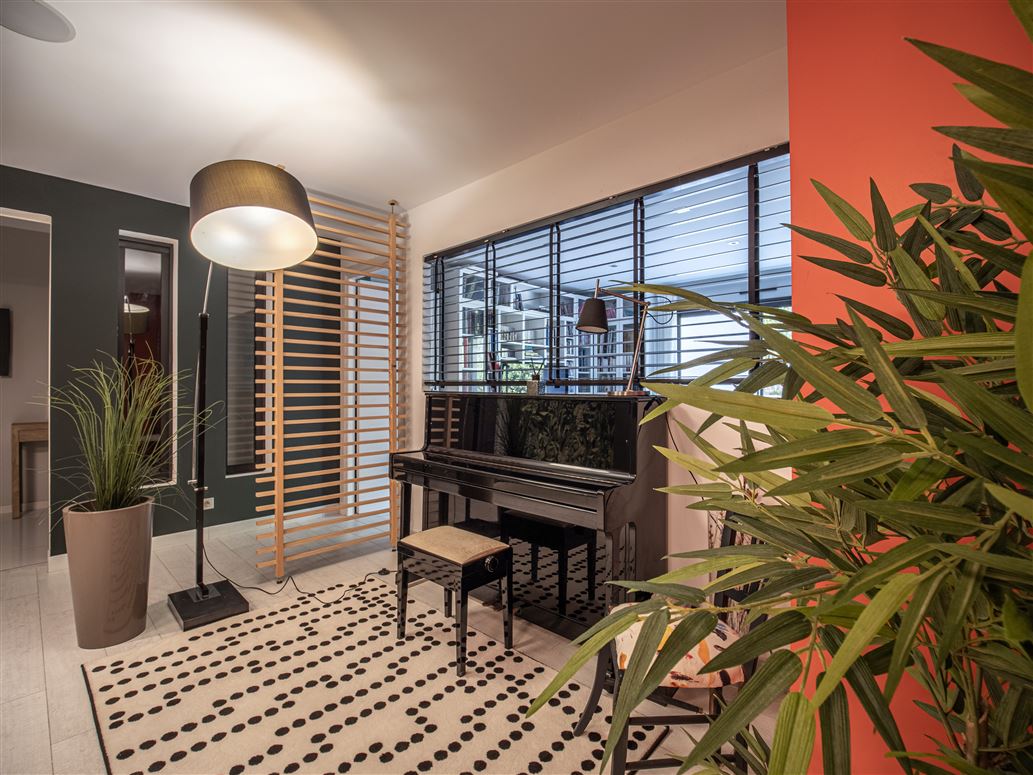 The Birds of Paradise,Saint-Gély-du-Fesc, Occitanie, France