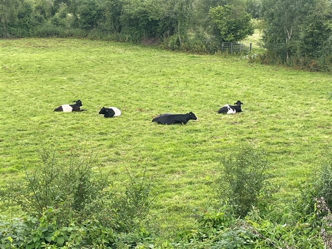24 Railway lough, Belturbet, Cavan