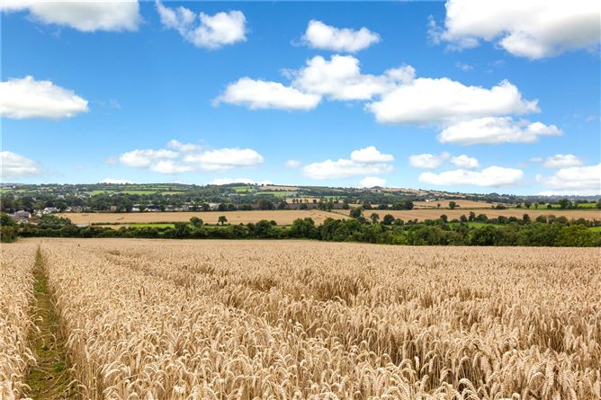 Lot 2 - Land At Snowtown Farm, Naul, Co. Meath