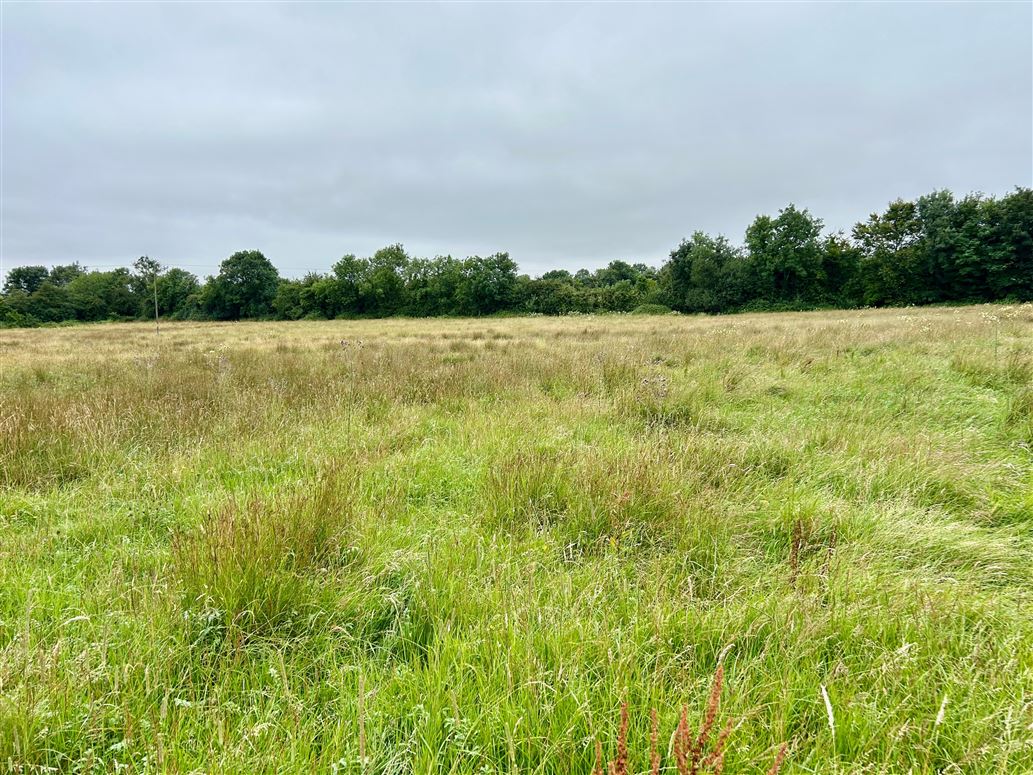 10.77 Acres, Boleybeg, Ballitore, Kildare