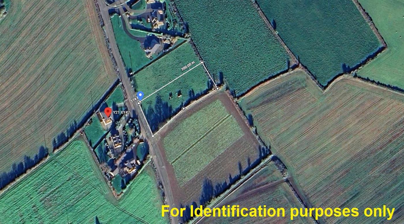 Site "B", Ballybeg, Ferns, Co. Wexford