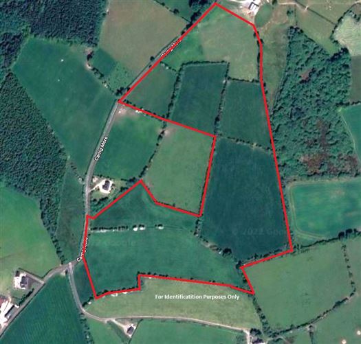Image for Lands at Ballinakill, Garryhill, , Fenagh, Carlow
