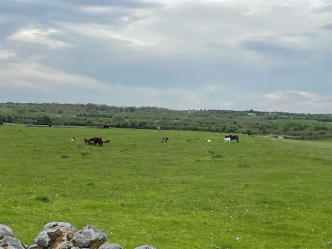 Castletown/Tullycommon, Carron, Clare