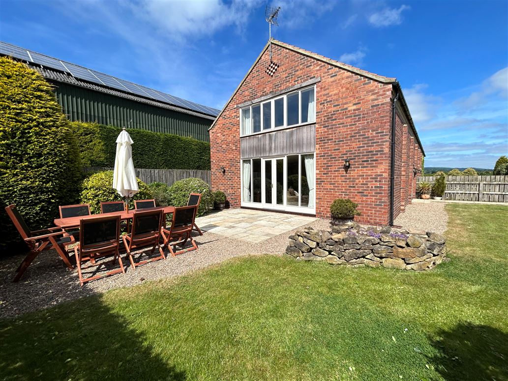 Badger,Thirsk,North Yorkshire,United Kingdom