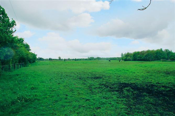 Derrycrib, Donadea, Kildare