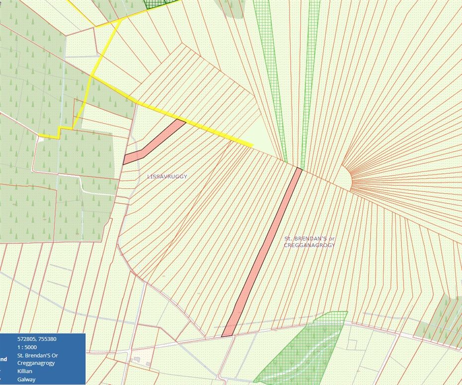 4.9 Acres of Bog at Lissavruggy, Newbridge, Ballygar, Co. Galway