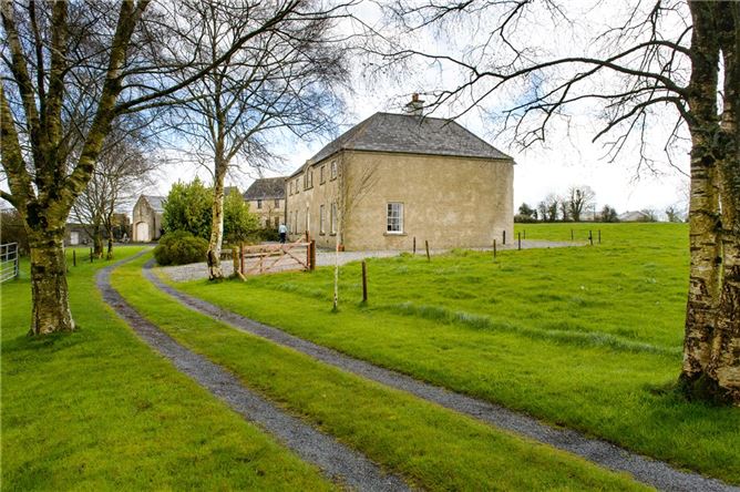 Aghaboe House, Aghaboe, Co. Laois