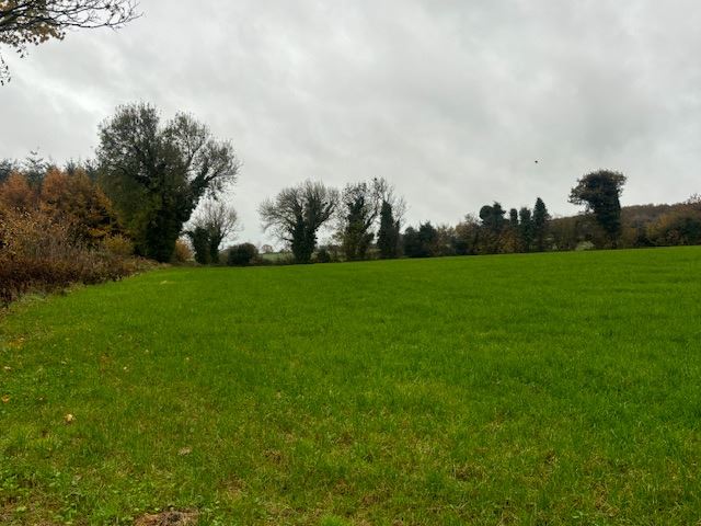 Mangan, Killane, Enniscorthy, Wexford
