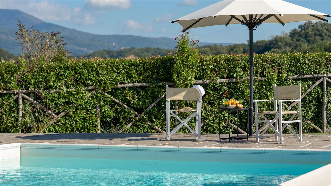 Olives & Roses,Reggello,Tuscany,Italy