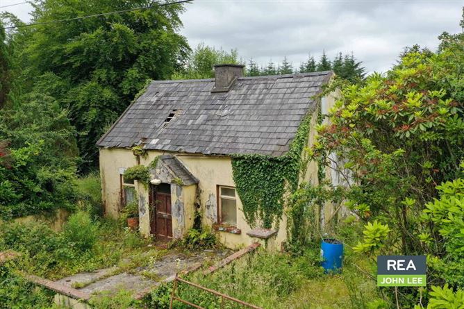 Mientulla, Murroe, Limerick