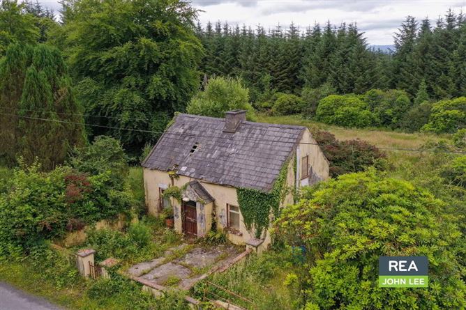 Mientulla, Murroe, Limerick