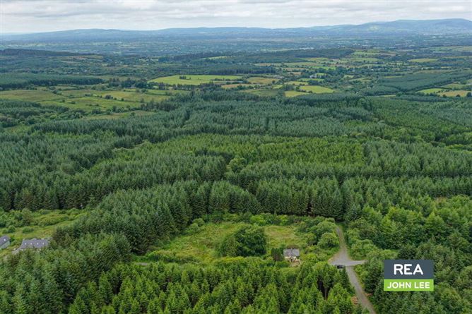 Mientulla, Murroe, Limerick