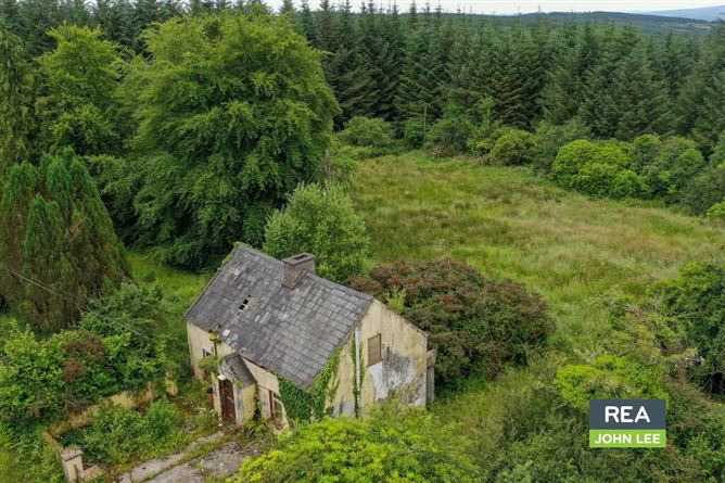 Mientulla, Murroe, Limerick