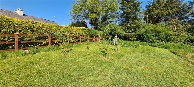 Forest View, Derrygolagh, Boyle, Cloonloo, Sligo
