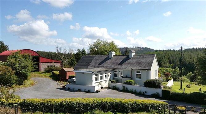 Forest View, Derrygolagh, Boyle, Cloonloo, Sligo