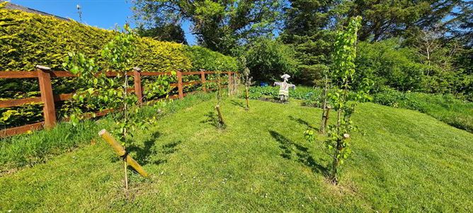 Forest View, Derrygolagh, Boyle, Cloonloo, Sligo