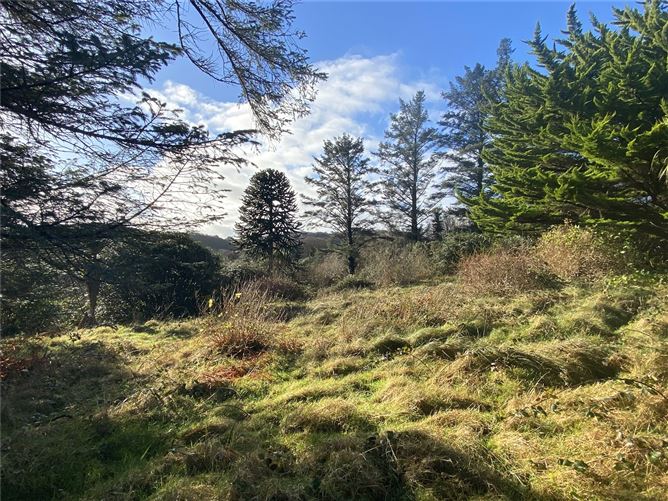Galway Road, Clifden, Co.Galway