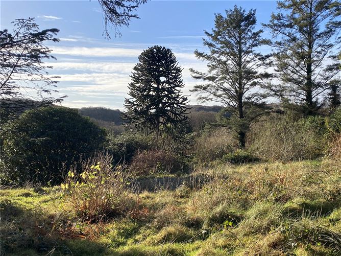 Galway Road, Clifden, Co.Galway