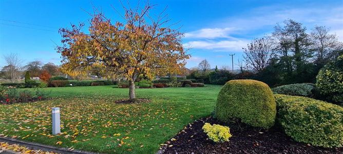 Toberpatrick, Strokestown, Roscommon