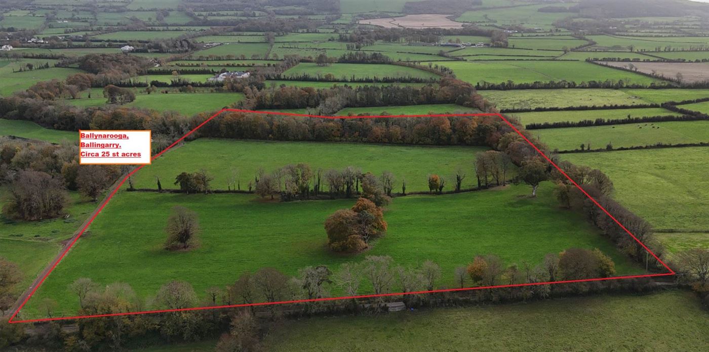 Ballynarooga, Ballingarry, Limerick, County Limerick