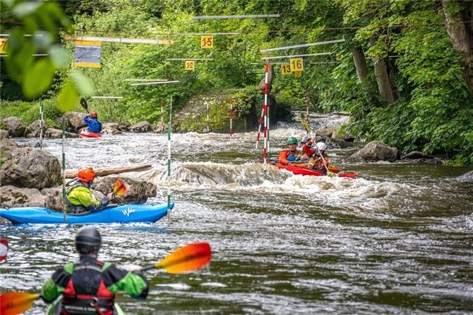 Heron's Lock, Lucan, Co.Dublin