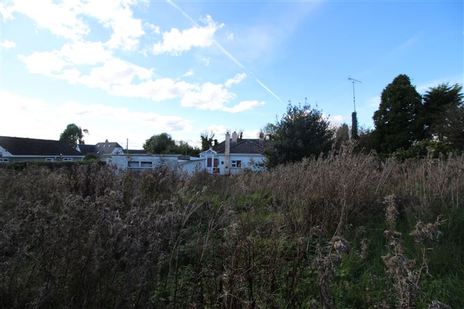 Alexanderaide, Navan, Meath