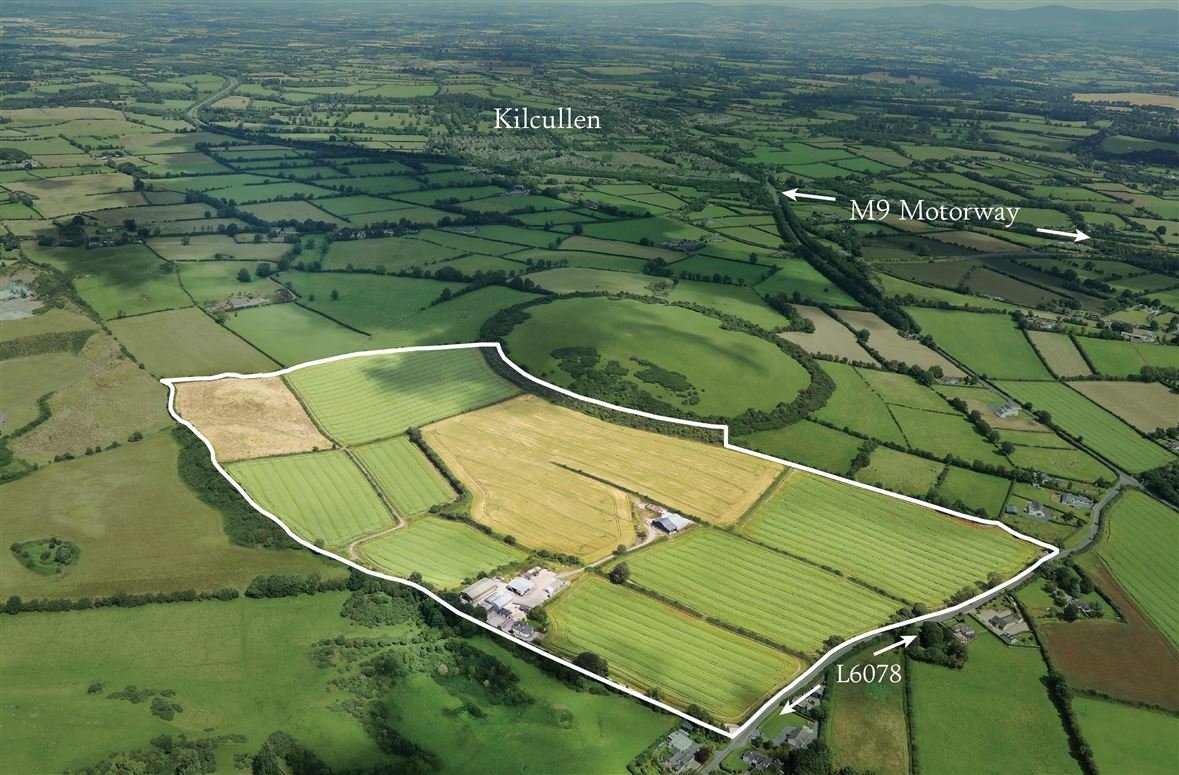 Ivy Wall, Kilcullen, Kildare