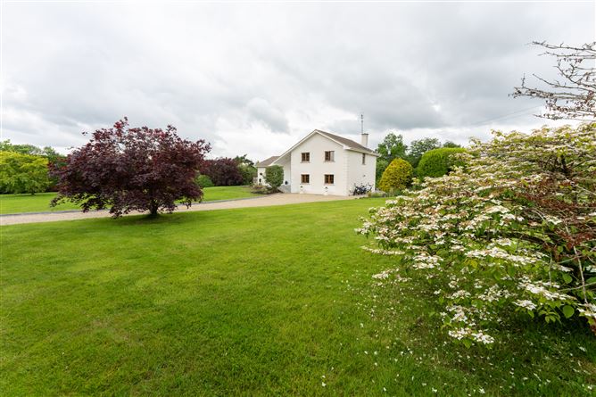 Roo West, Ardnacrusha, Clare