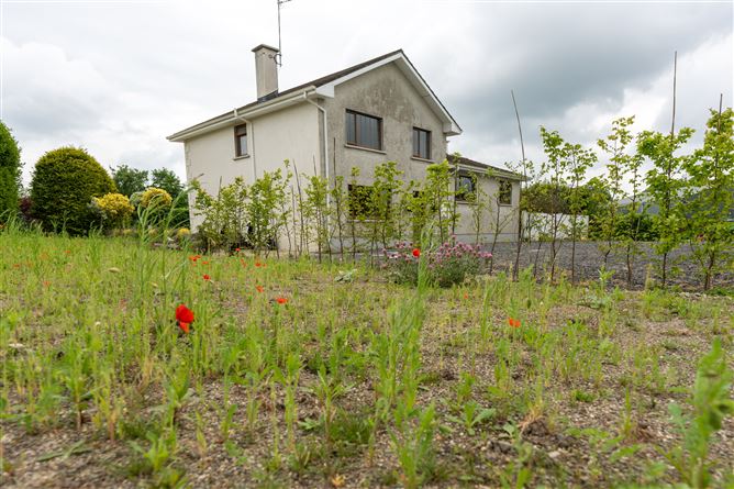 Roo West, Ardnacrusha, Clare