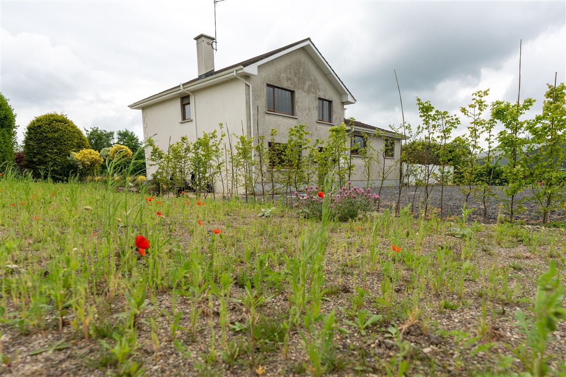 Roo West, Ardnacrusha, Clare