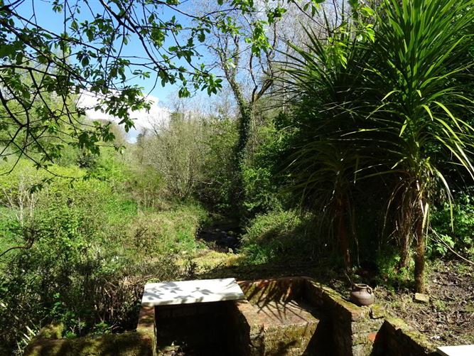 Clodiagh, Inistioge, County Kilkenny