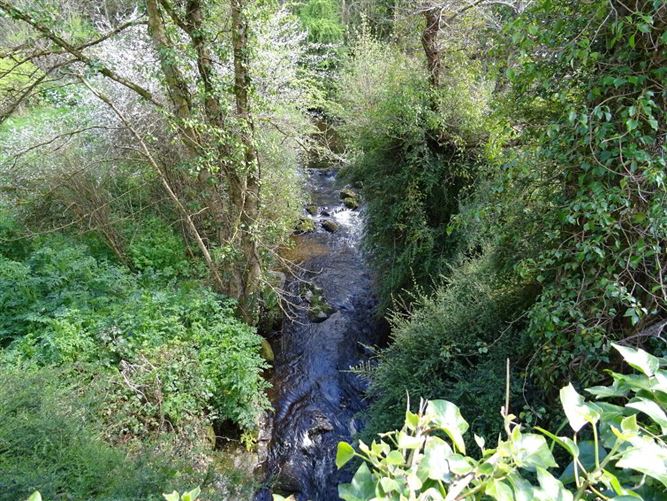 Clodiagh, Inistioge, County Kilkenny