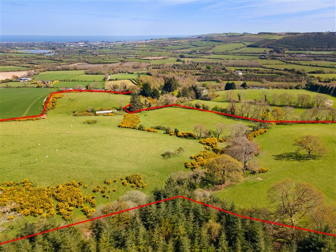 c. 35 acres Ballymacsimon, Glenealy, Wicklow
