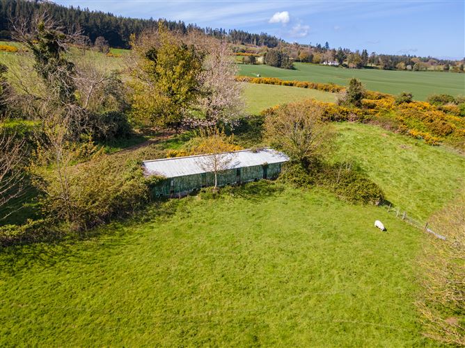 c. 35 acres Ballymacsimon, Glenealy, Wicklow