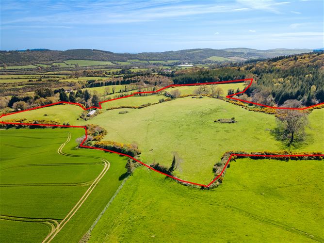 c. 35 acres Ballymacsimon, Glenealy, Wicklow
