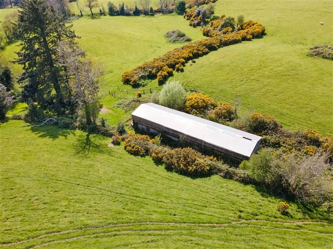 c. 35 acres Ballymacsimon, Glenealy, Wicklow