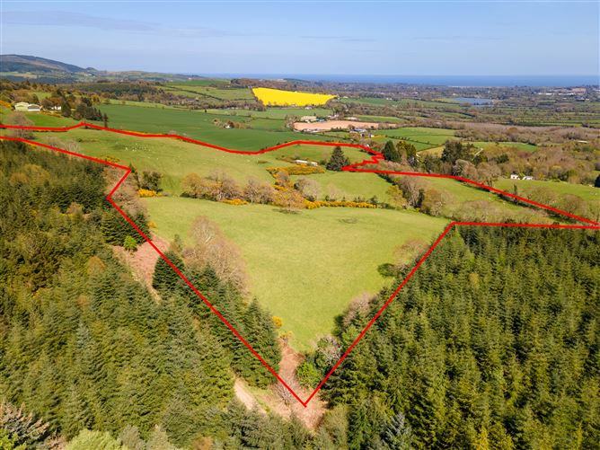 c. 35 acres Ballymacsimon, Glenealy, Wicklow