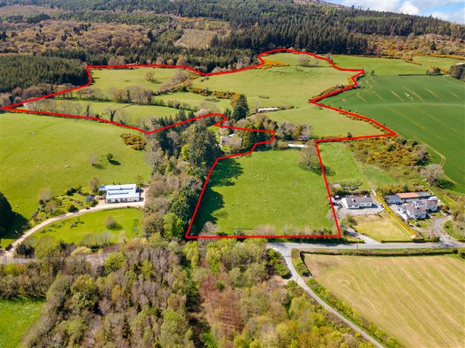 c. 35 acres Ballymacsimon, Glenealy, Wicklow