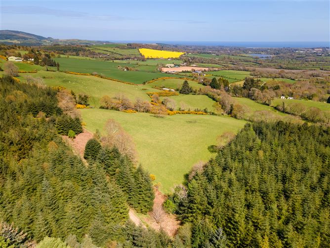 c. 35 acres Ballymacsimon, Glenealy, Wicklow