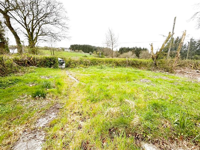 Cruttenclough, Bilboa, Carlow, Castlecomer, Kilkenny